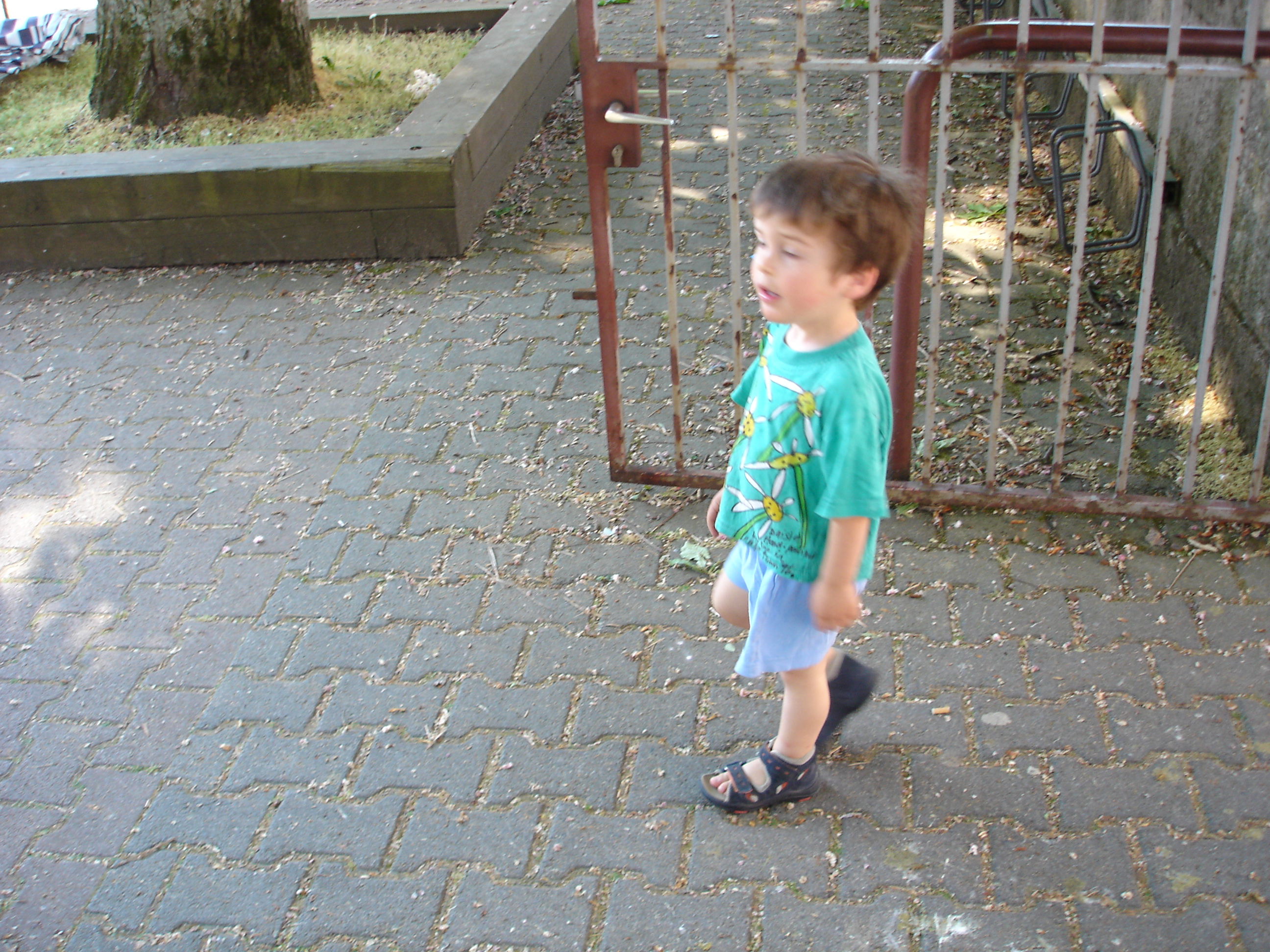 DSC06877.JPG